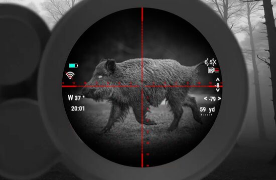 Digitālie diena/nakts tēmēkļi